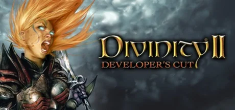 Divinity II: Developer's Cut — подарок Steam