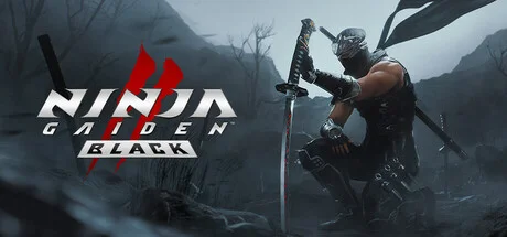 NINJA GAIDEN 2 Black — подарок Steam