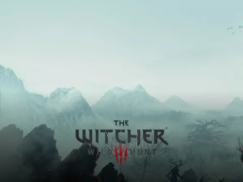 The Witcher 3: Wild Hunt - Complete Edition — подарок Steam